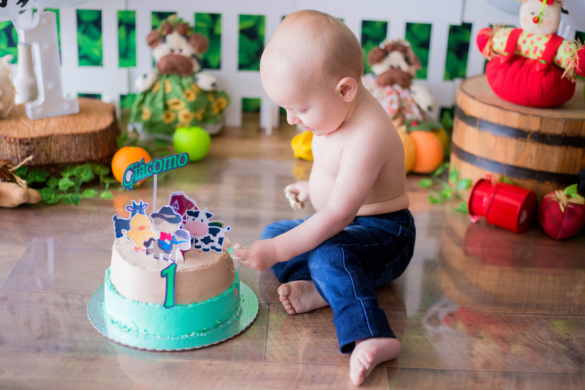 acompanhamento mensal de bebe caxias do sul figurino cenario tematico  personagem foto infantil serra gaucha fotografia familia mundo azul rosa ensaio fotografico crianca newborn baby menino menina smash the cake esmague o bolo banheira urso circo