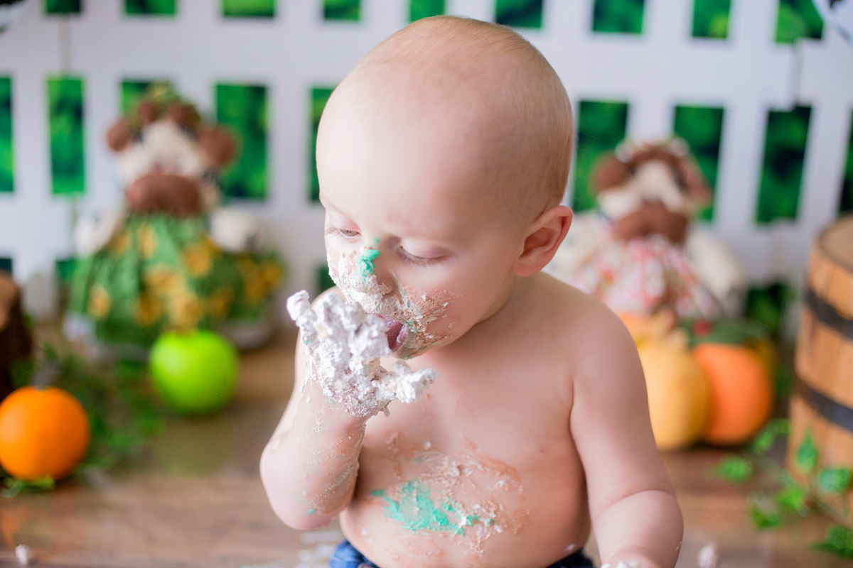 acompanhamento mensal de bebe caxias do sul figurino cenario tematico  personagem foto infantil serra gaucha fotografia familia mundo azul rosa ensaio fotografico crianca newborn baby menino menina smash the cake esmague o bolo banheira urso circo