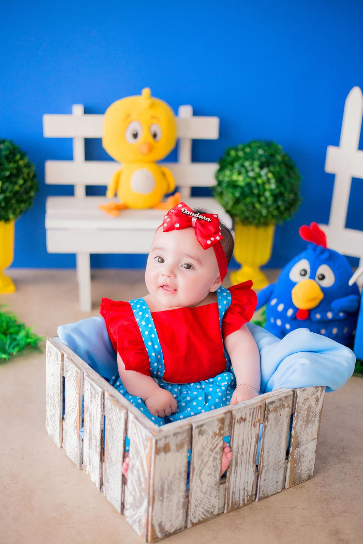 acompanhamento mensal de bebe caxias do sul figurino cenario tematico  personagem foto infantil serra gaucha fotografia familia mundo azul rosa ensaio fotografico crianca newborn baby menino menina smash the cake esmague o bolo banheira urso circo