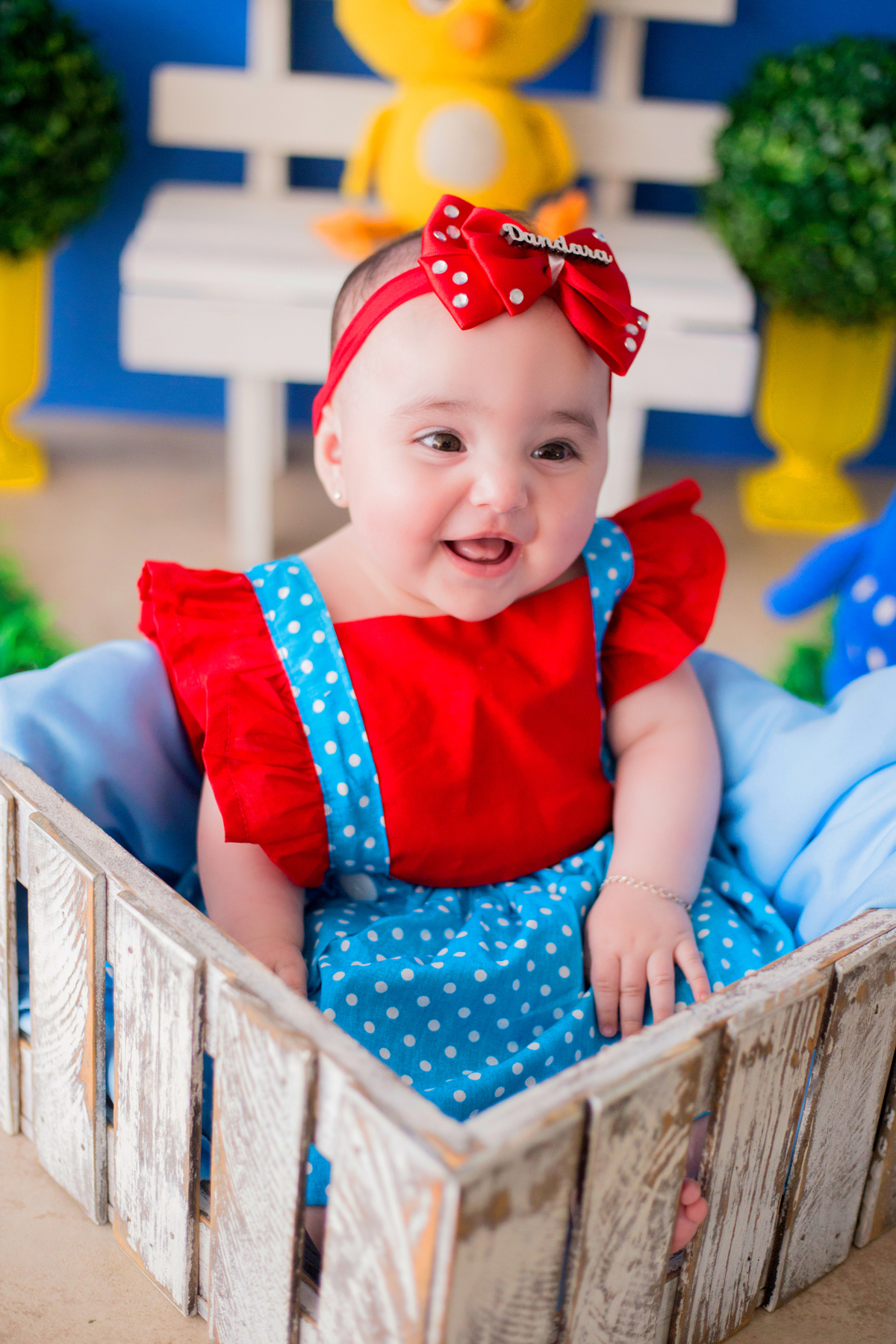 acompanhamento mensal de bebe caxias do sul figurino cenario tematico  personagem foto infantil serra gaucha fotografia familia mundo azul rosa ensaio fotografico crianca newborn baby menino menina smash the cake esmague o bolo banheira urso circo