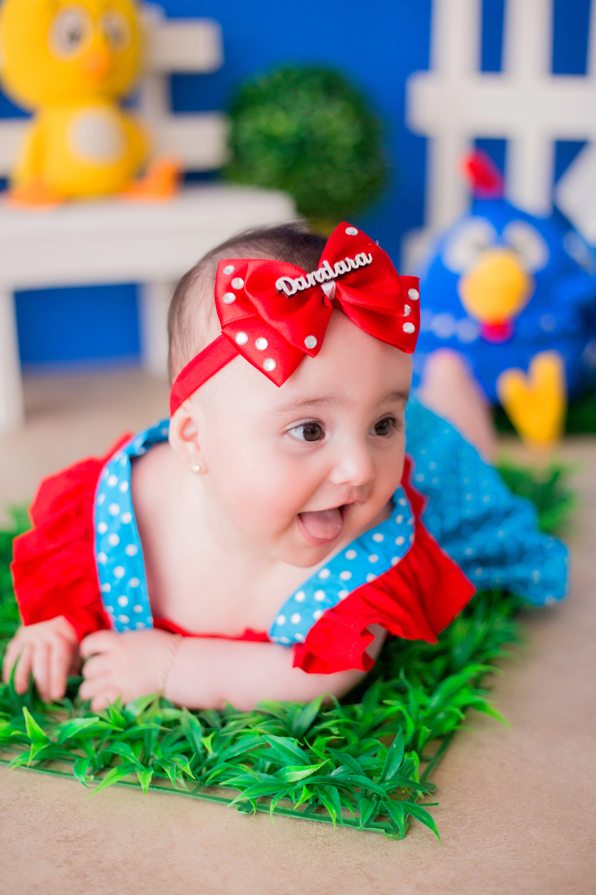 acompanhamento mensal de bebe caxias do sul figurino cenario tematico  personagem foto infantil serra gaucha fotografia familia mundo azul rosa ensaio fotografico crianca newborn baby menino menina smash the cake esmague o bolo banheira urso circo