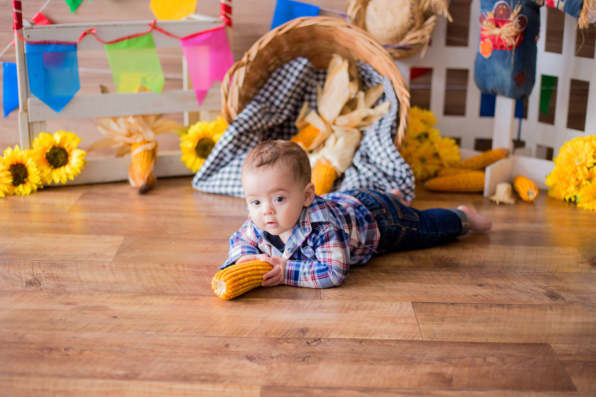 acompanhamento mensal de bebe caxias do sul figurino cenario tematico  personagem foto infantil serra gaucha fotografia familia mundo azul rosa ensaio fotografico crianca newborn baby menino menina smash the cake esmague o bolo banheira urso circo