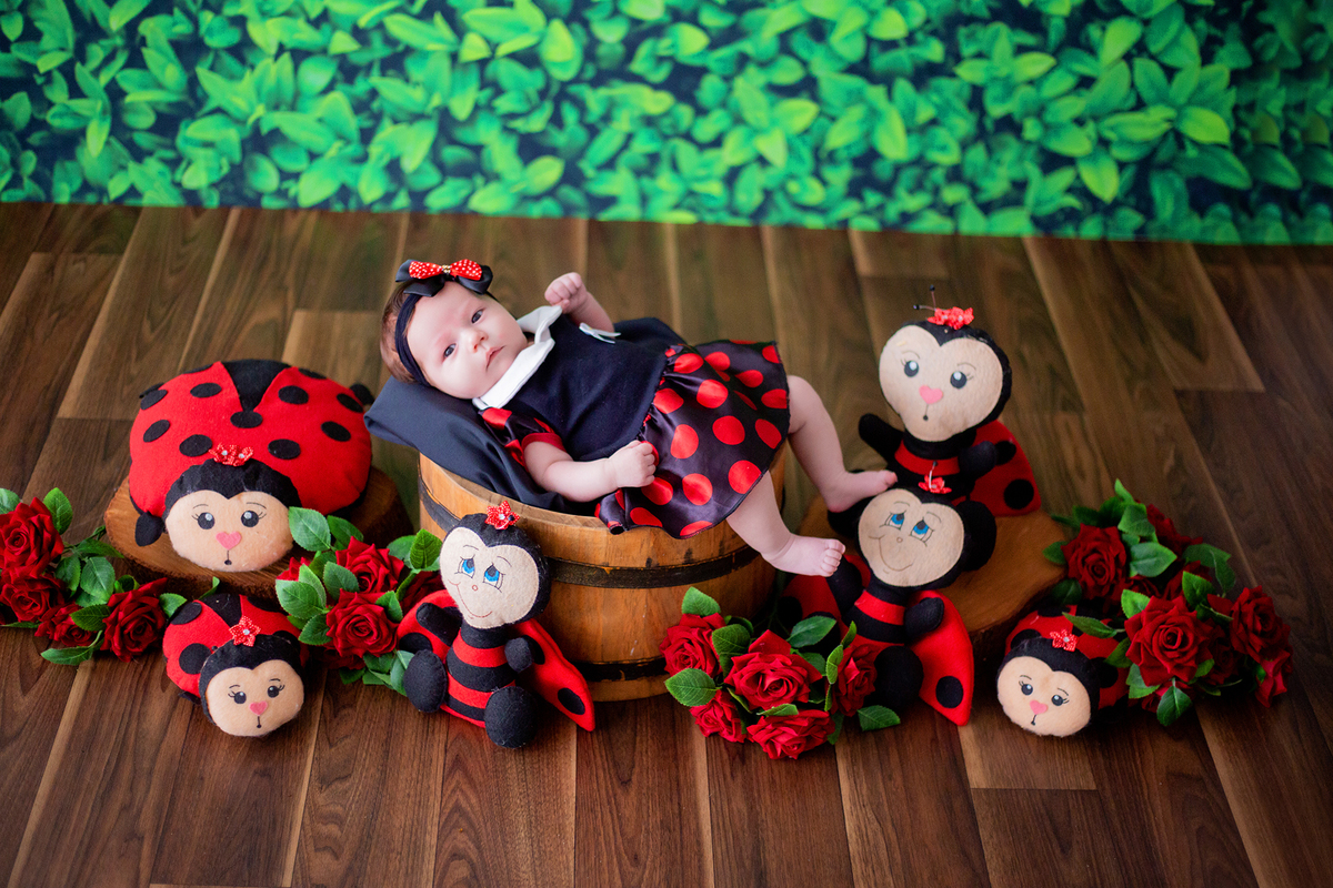 acompanhamento mensal de bebe caxias do sul figurino cenario tematico  personagem foto infantil serra gaucha fotografia familia mundo azul rosa ensaio fotografico crianca newborn baby menino menina smash the cake esmague o bolo banheira urso circo