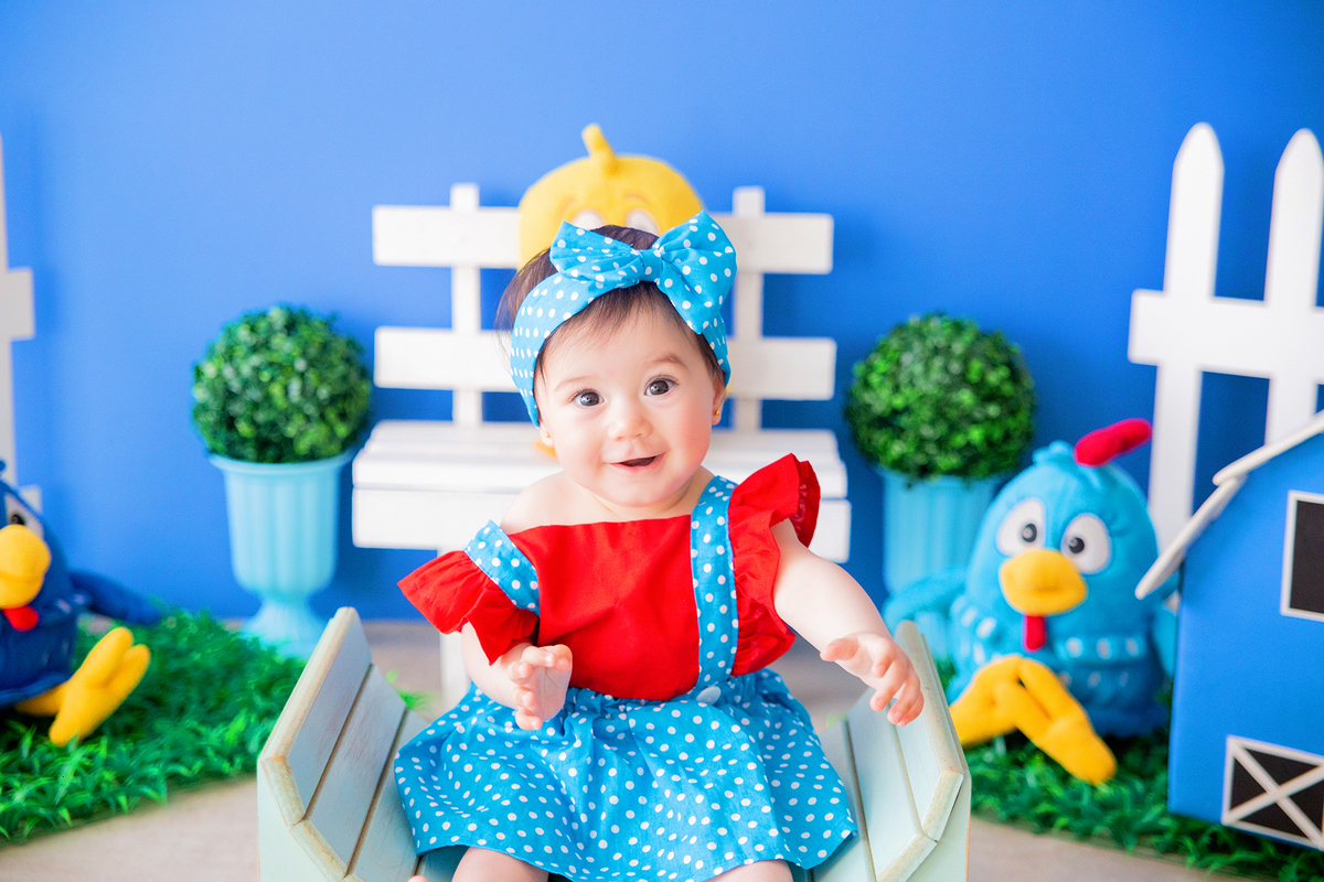 acompanhamento mensal de bebe caxias do sul figurino cenario tematico  personagem foto infantil serra gaucha fotografia familia mundo azul rosa ensaio fotografico crianca newborn baby menino menina smash the cake esmague o bolo banheira urso circo