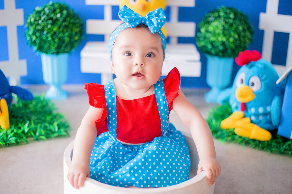 acompanhamento mensal de bebe caxias do sul figurino cenario tematico  personagem foto infantil serra gaucha fotografia familia mundo azul rosa ensaio fotografico crianca newborn baby menino menina smash the cake esmague o bolo banheira urso circo