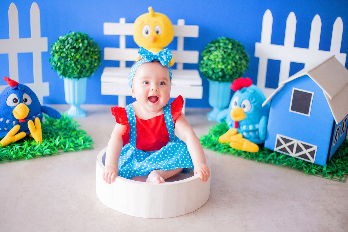 acompanhamento mensal de bebe caxias do sul figurino cenario tematico  personagem foto infantil serra gaucha fotografia familia mundo azul rosa ensaio fotografico crianca newborn baby menino menina smash the cake esmague o bolo banheira urso circo