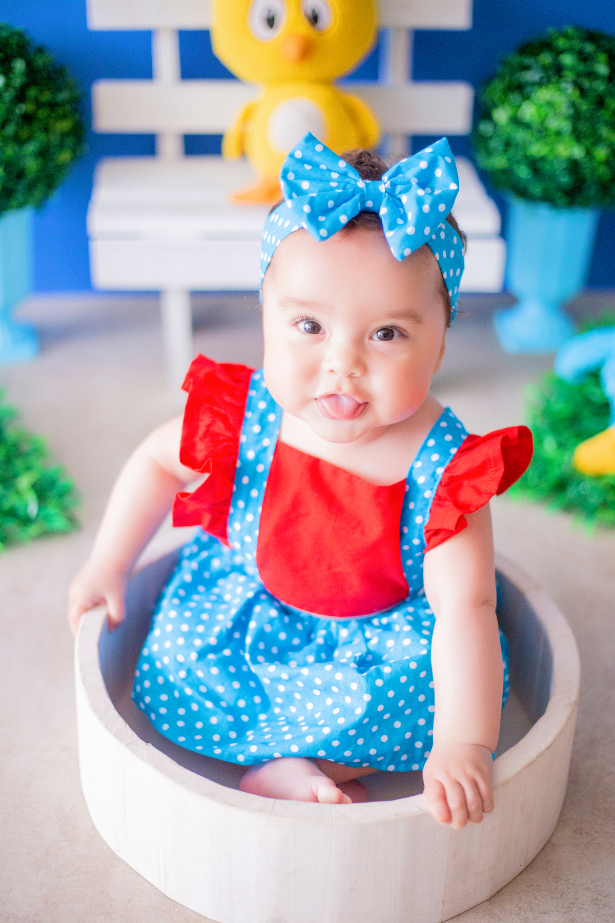 acompanhamento mensal de bebe caxias do sul figurino cenario tematico  personagem foto infantil serra gaucha fotografia familia mundo azul rosa ensaio fotografico crianca newborn baby menino menina smash the cake esmague o bolo banheira urso circo