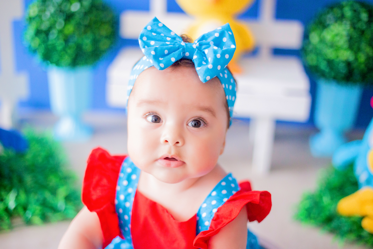 acompanhamento mensal de bebe caxias do sul figurino cenario tematico  personagem foto infantil serra gaucha fotografia familia mundo azul rosa ensaio fotografico crianca newborn baby menino menina smash the cake esmague o bolo banheira urso circo