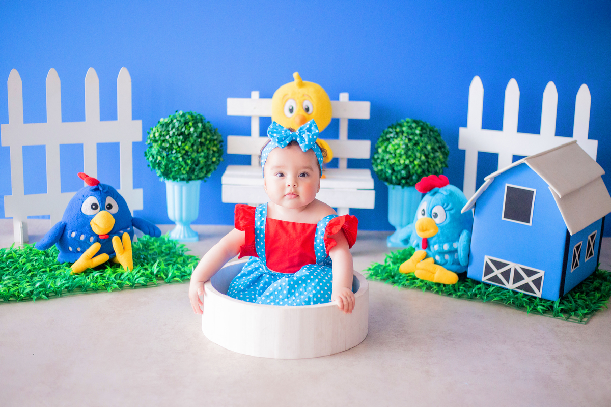 acompanhamento mensal de bebe caxias do sul figurino cenario tematico  personagem foto infantil serra gaucha fotografia familia mundo azul rosa ensaio fotografico crianca newborn baby menino menina smash the cake esmague o bolo banheira urso circo