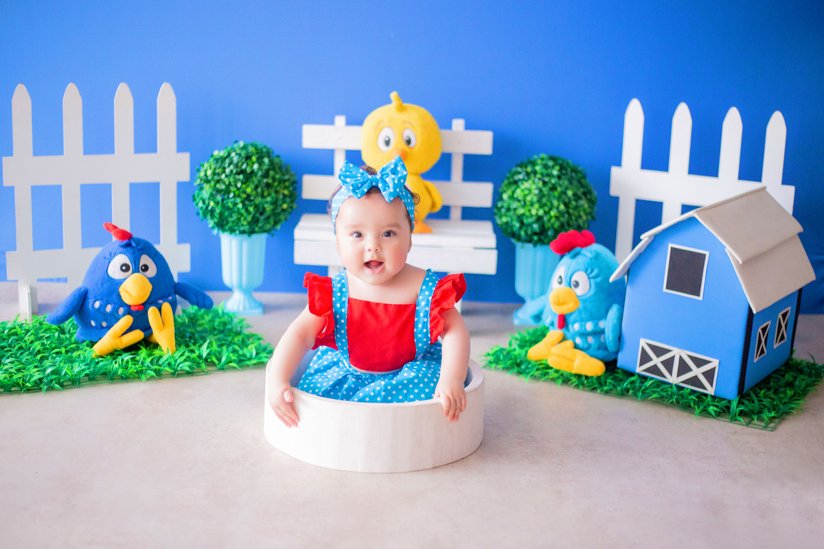 acompanhamento mensal de bebe caxias do sul figurino cenario tematico  personagem foto infantil serra gaucha fotografia familia mundo azul rosa ensaio fotografico crianca newborn baby menino menina smash the cake esmague o bolo banheira urso circo