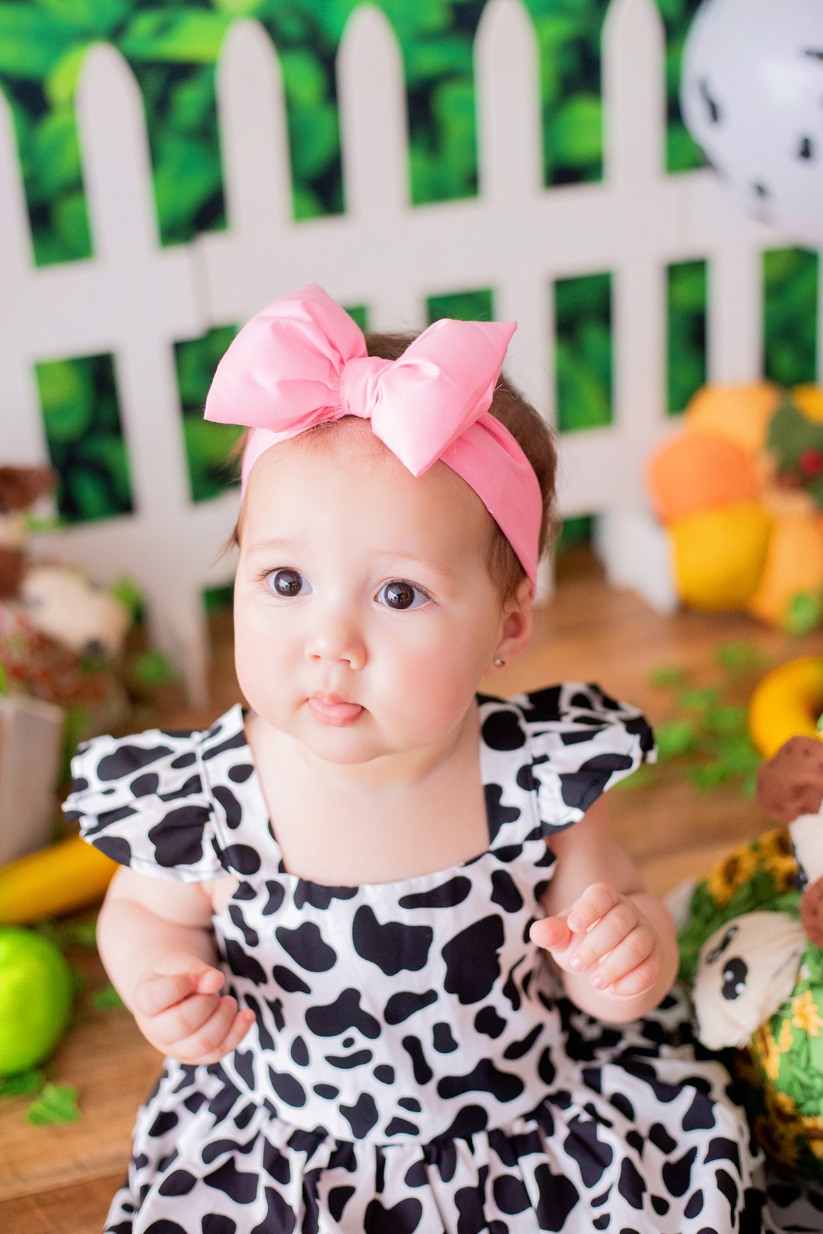 acompanhamento mensal de bebe caxias do sul figurino cenario tematico  personagem foto infantil serra gaucha fotografia familia mundo azul rosa ensaio fotografico crianca newborn baby menino menina smash the cake esmague o bolo banheira urso circo