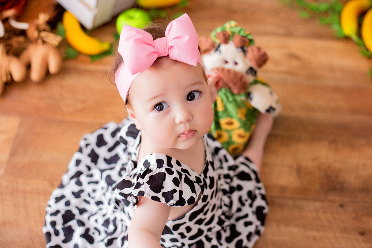 acompanhamento mensal de bebe caxias do sul figurino cenario tematico  personagem foto infantil serra gaucha fotografia familia mundo azul rosa ensaio fotografico crianca newborn baby menino menina smash the cake esmague o bolo banheira urso circo