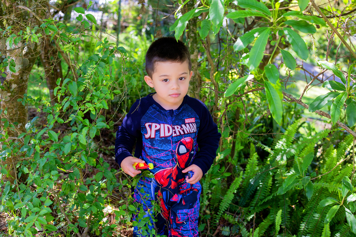 acompanhamento mensal de bebe caxias do sul figurino cenario tematico  personagem foto infantil serra gaucha fotografia familia mundo azul rosa ensaio fotografico crianca newborn baby menino menina smash the cake esmague o bolo banheira urso circo