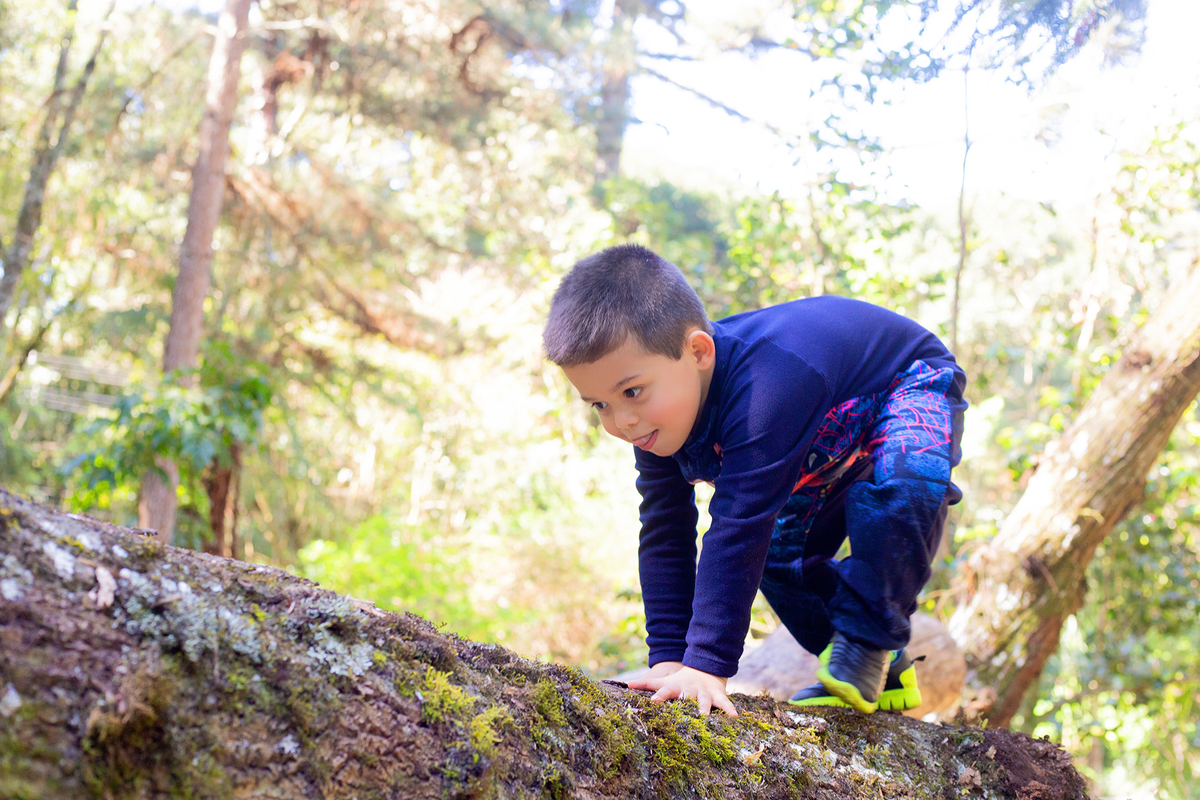 acompanhamento mensal de bebe caxias do sul figurino cenario tematico  personagem foto infantil serra gaucha fotografia familia mundo azul rosa ensaio fotografico crianca newborn baby menino menina smash the cake esmague o bolo banheira urso circo