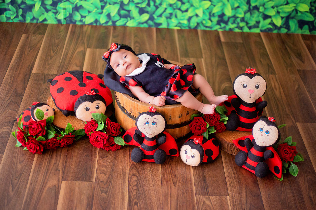 acompanhamento mensal de bebe caxias do sul figurino cenario tematico  personagem foto infantil serra gaucha fotografia familia mundo azul rosa ensaio fotografico crianca newborn baby menino menina smash the cake esmague o bolo banheira urso circo