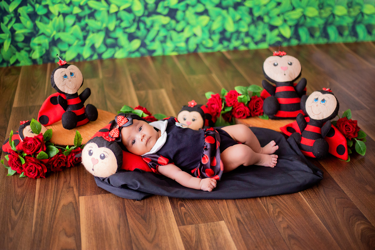 acompanhamento mensal de bebe caxias do sul figurino cenario tematico  personagem foto infantil serra gaucha fotografia familia mundo azul rosa ensaio fotografico crianca newborn baby menino menina smash the cake esmague o bolo banheira urso circo