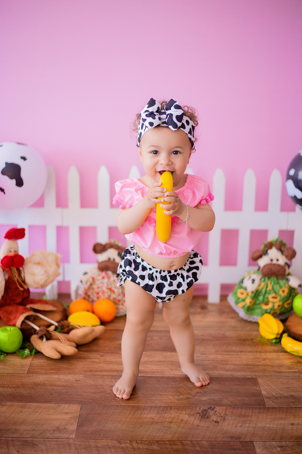 acompanhamento mensal de bebe caxias do sul figurino cenario tematico  personagem foto infantil serra gaucha fotografia familia mundo azul rosa ensaio fotografico crianca newborn baby menino menina smash the cake esmague o bolo banheira urso circo