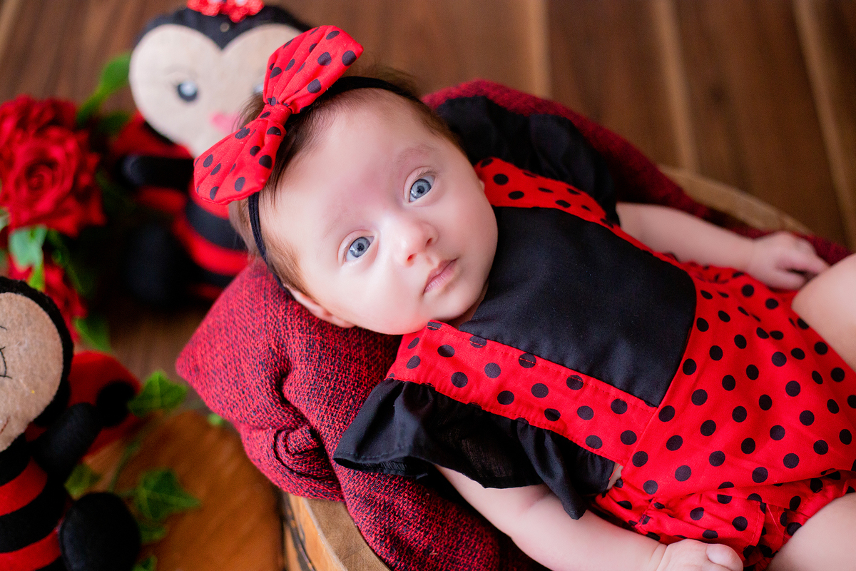 acompanhamento mensal de bebe caxias do sul figurino cenario tematico  personagem foto infantil serra gaucha fotografia familia mundo azul rosa ensaio fotografico crianca newborn baby menino menina smash the cake esmague o bolo banheira urso circo