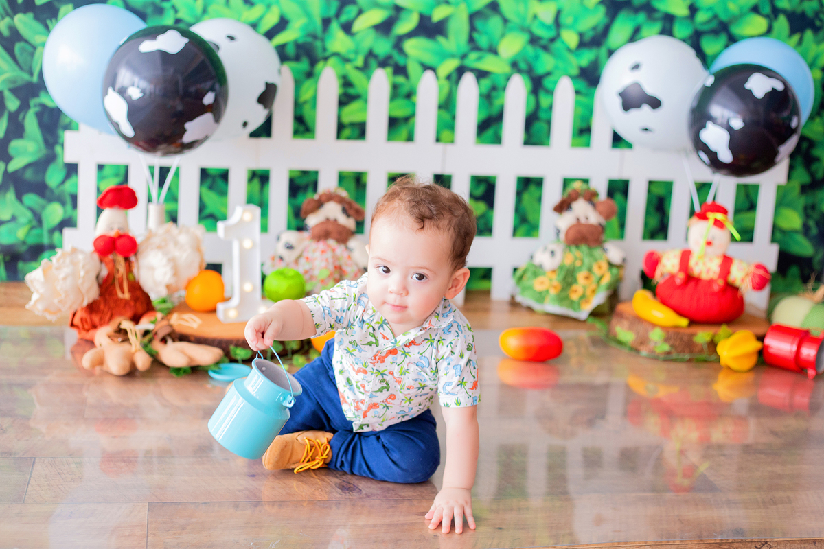 acompanhamento mensal de bebe caxias do sul figurino cenario tematico  personagem foto infantil serra gaucha fotografia familia mundo azul rosa ensaio fotografico crianca newborn baby menino menina smash the cake esmague o bolo banheira urso circo