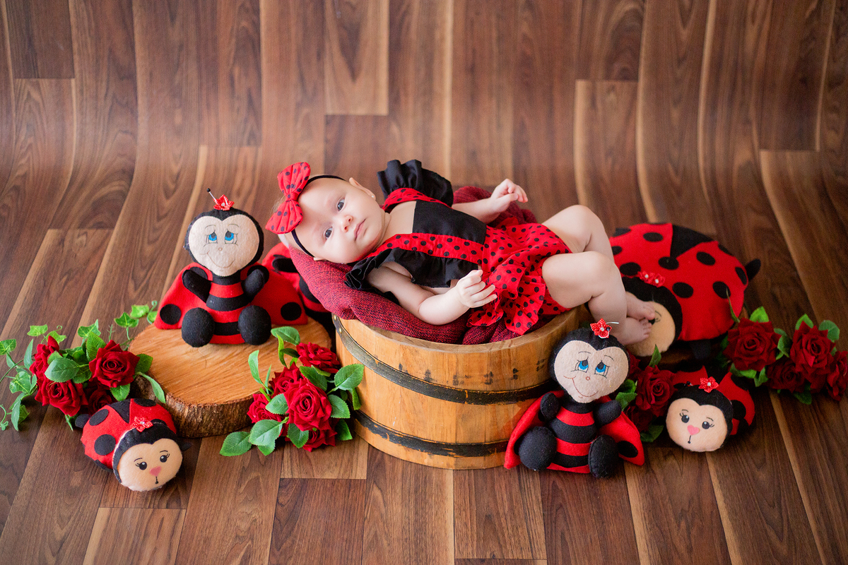 acompanhamento mensal de bebe caxias do sul figurino cenario tematico  personagem foto infantil serra gaucha fotografia familia mundo azul rosa ensaio fotografico crianca newborn baby menino menina smash the cake esmague o bolo banheira urso circo