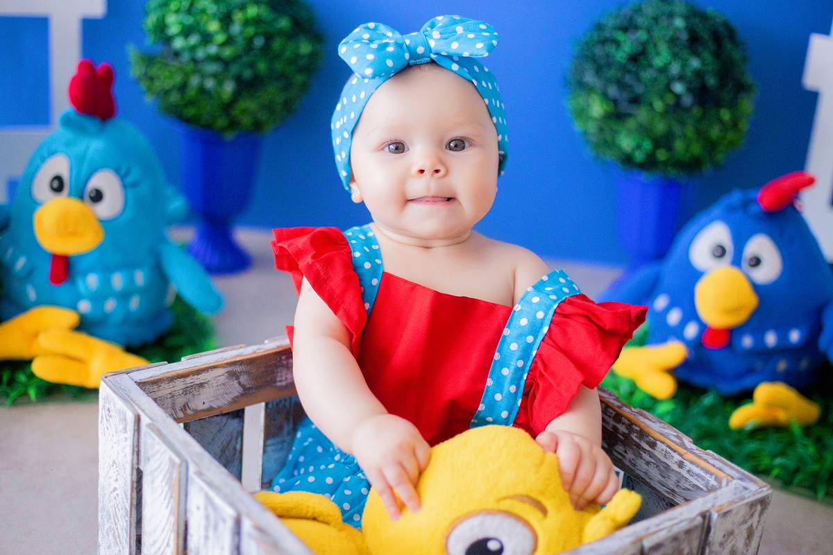 acompanhamento mensal de bebe caxias do sul figurino cenario tematico  personagem foto infantil serra gaucha fotografia familia mundo azul rosa ensaio fotografico crianca newborn baby menino menina smash the cake esmague o bolo banheira urso circo