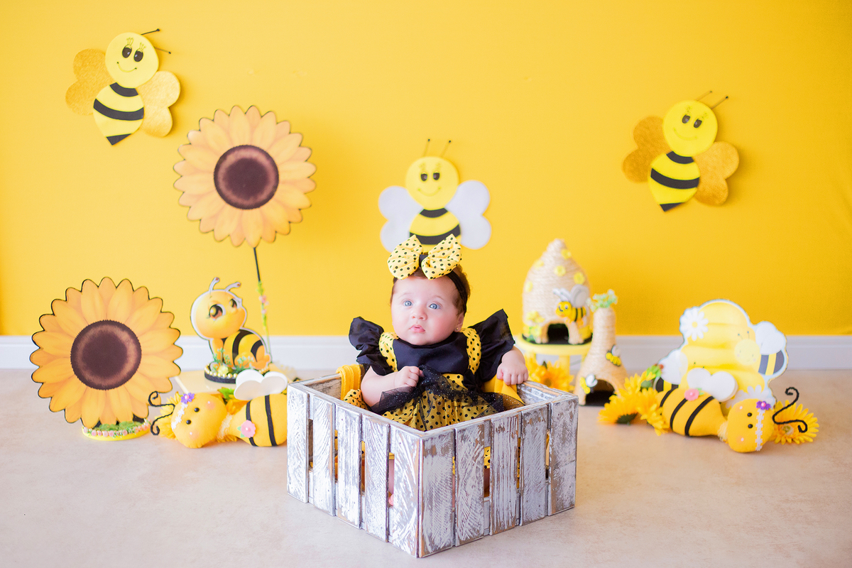 acompanhamento mensal de bebe caxias do sul figurino cenario tematico  personagem foto infantil serra gaucha fotografia familia mundo azul rosa ensaio fotografico crianca newborn baby menino menina smash the cake esmague o bolo banheira urso circo