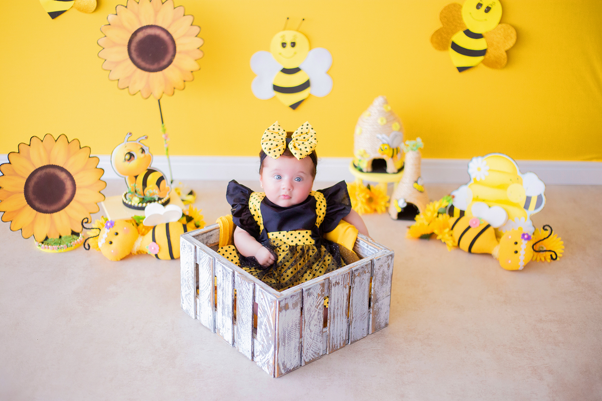 acompanhamento mensal de bebe caxias do sul figurino cenario tematico  personagem foto infantil serra gaucha fotografia familia mundo azul rosa ensaio fotografico crianca newborn baby menino menina smash the cake esmague o bolo banheira urso circo