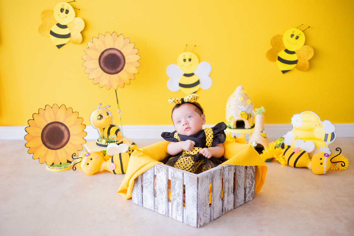 acompanhamento mensal de bebe caxias do sul figurino cenario tematico  personagem foto infantil serra gaucha fotografia familia mundo azul rosa ensaio fotografico crianca newborn baby menino menina smash the cake esmague o bolo banheira urso circo