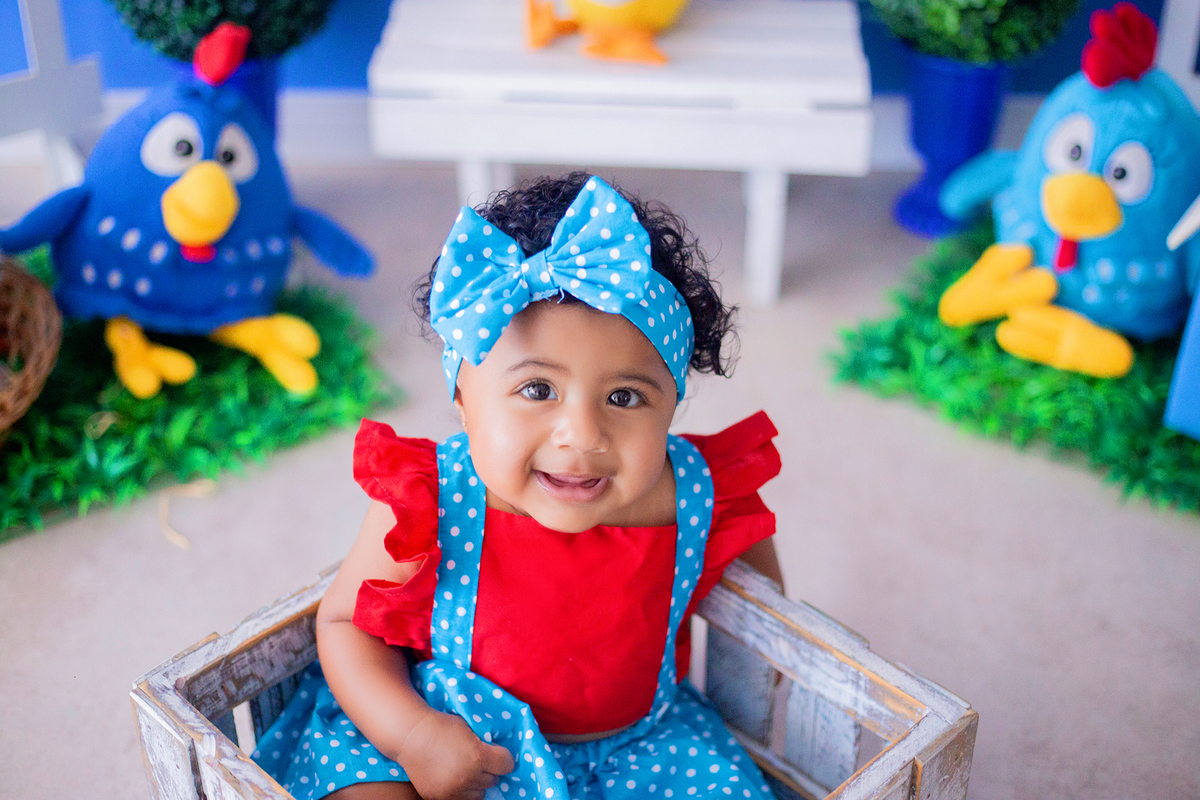 acompanhamento mensal de bebe caxias do sul figurino cenario tematico  personagem foto infantil serra gaucha fotografia familia mundo azul rosa ensaio fotografico crianca newborn baby menino menina smash the cake esmague o bolo banheira urso circo
