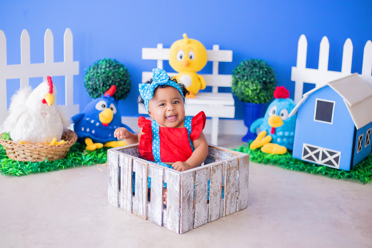 acompanhamento mensal de bebe caxias do sul figurino cenario tematico  personagem foto infantil serra gaucha fotografia familia mundo azul rosa ensaio fotografico crianca newborn baby menino menina smash the cake esmague o bolo banheira urso circo