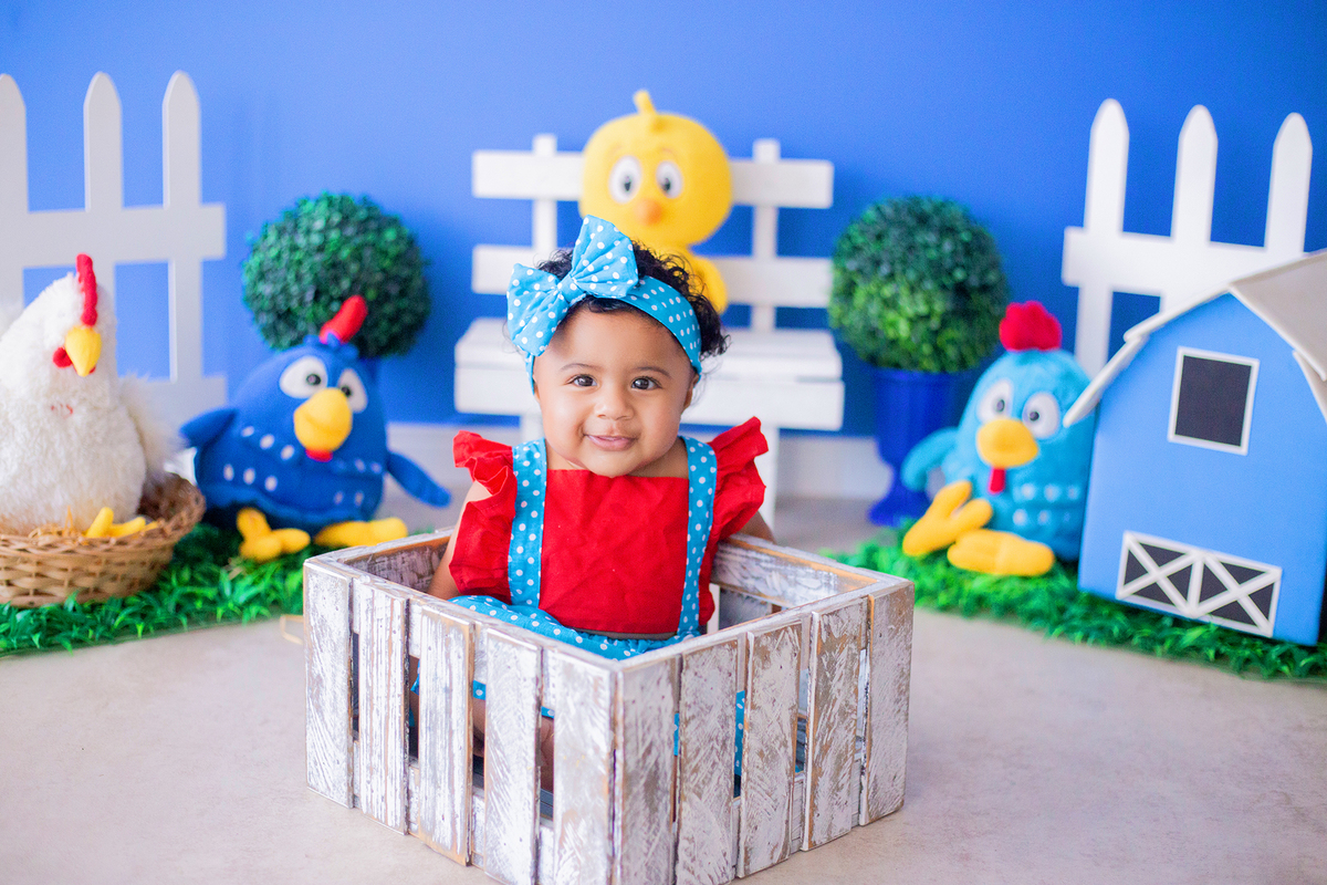 acompanhamento mensal de bebe caxias do sul figurino cenario tematico  personagem foto infantil serra gaucha fotografia familia mundo azul rosa ensaio fotografico crianca newborn baby menino menina smash the cake esmague o bolo banheira urso circo