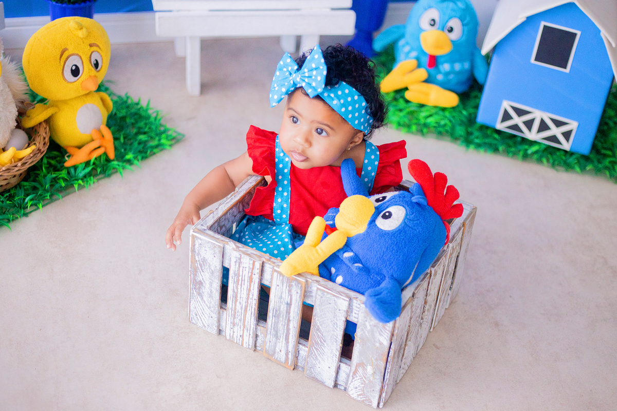 acompanhamento mensal de bebe caxias do sul figurino cenario tematico  personagem foto infantil serra gaucha fotografia familia mundo azul rosa ensaio fotografico crianca newborn baby menino menina smash the cake esmague o bolo banheira urso circo