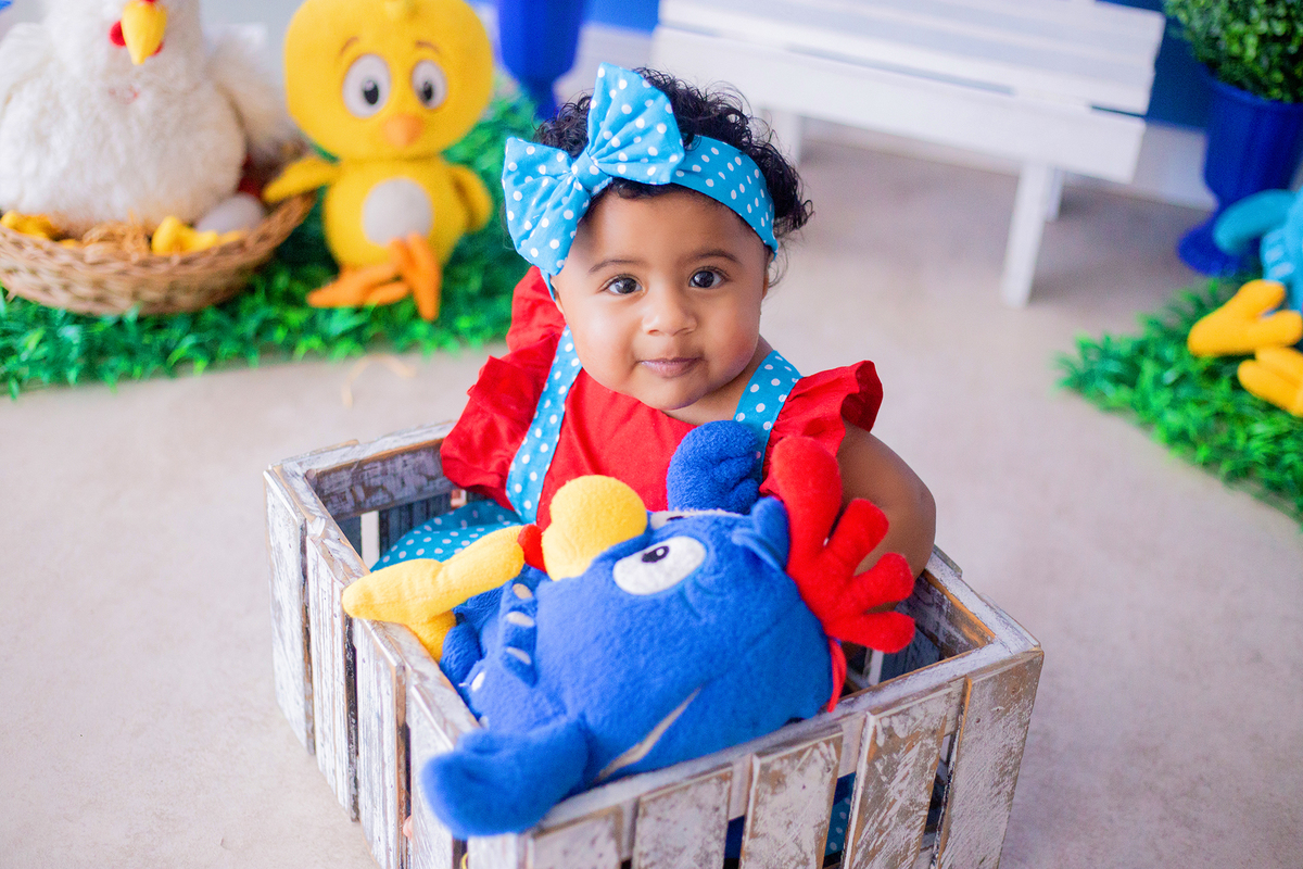 acompanhamento mensal de bebe caxias do sul figurino cenario tematico  personagem foto infantil serra gaucha fotografia familia mundo azul rosa ensaio fotografico crianca newborn baby menino menina smash the cake esmague o bolo banheira urso circo