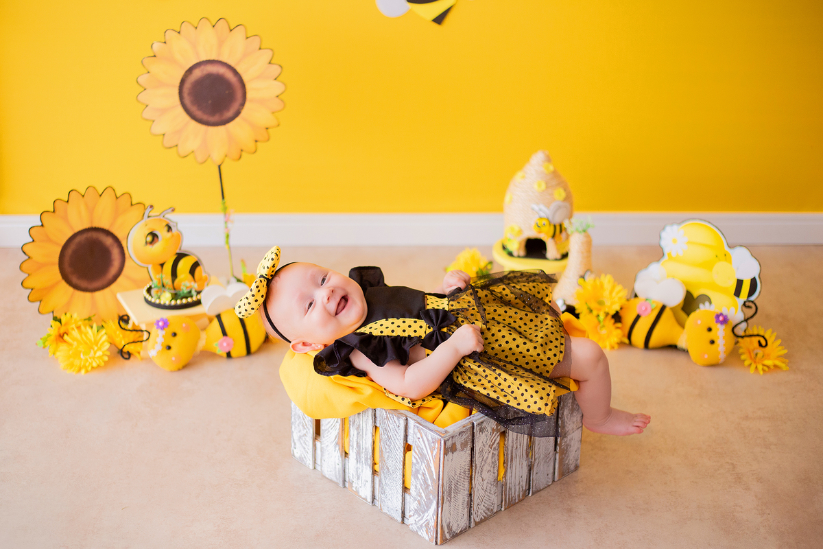 acompanhamento mensal de bebe caxias do sul figurino cenario tematico  personagem foto infantil serra gaucha fotografia familia mundo azul rosa ensaio fotografico crianca newborn baby menino menina smash the cake esmague o bolo banheira urso circo