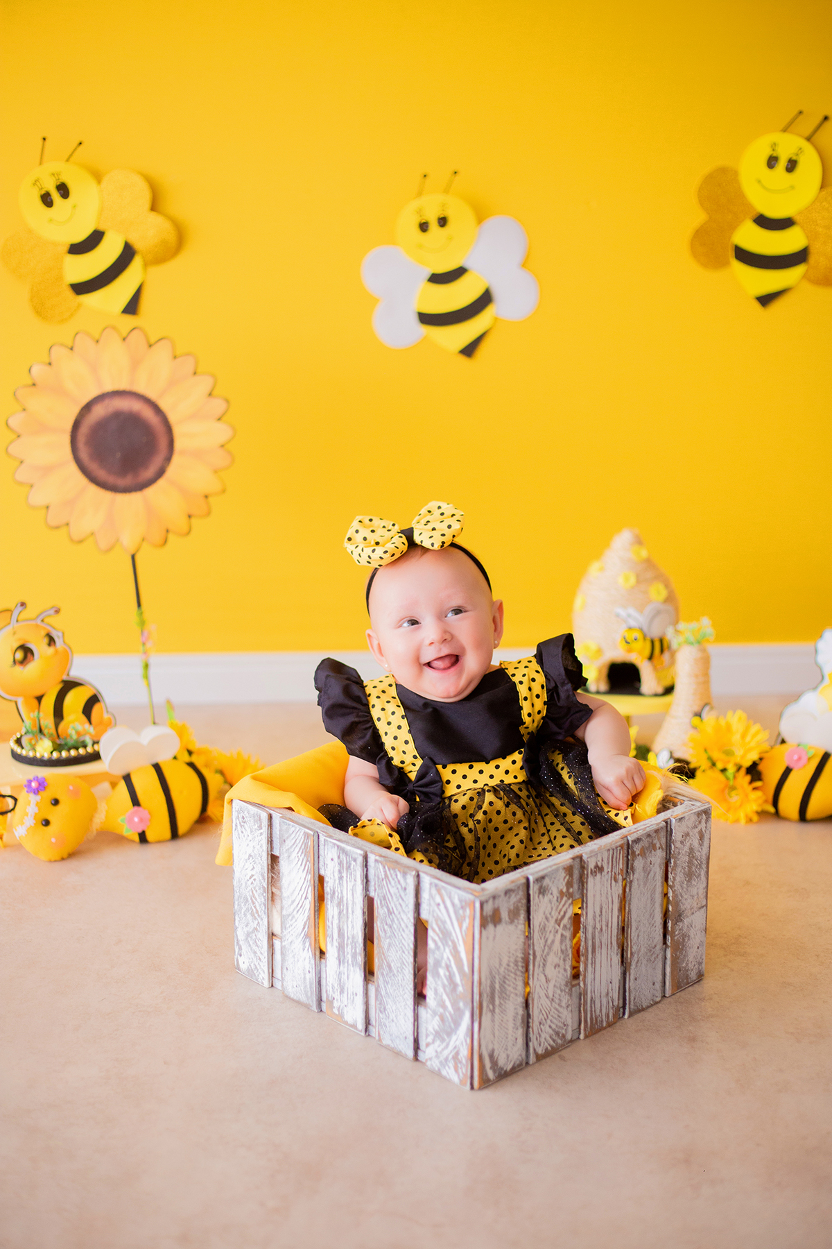 acompanhamento mensal de bebe caxias do sul figurino cenario tematico  personagem foto infantil serra gaucha fotografia familia mundo azul rosa ensaio fotografico crianca newborn baby menino menina smash the cake esmague o bolo banheira urso circo