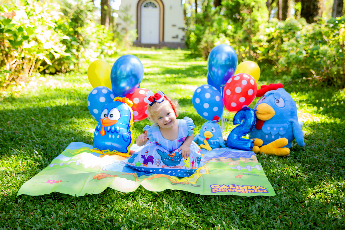 acompanhamento mensal de bebe caxias do sul figurino cenario tematico  personagem foto infantil serra gaucha fotografia familia mundo azul rosa ensaio fotografico crianca newborn baby menino menina smash the cake esmague o bolo banheira urso circo
