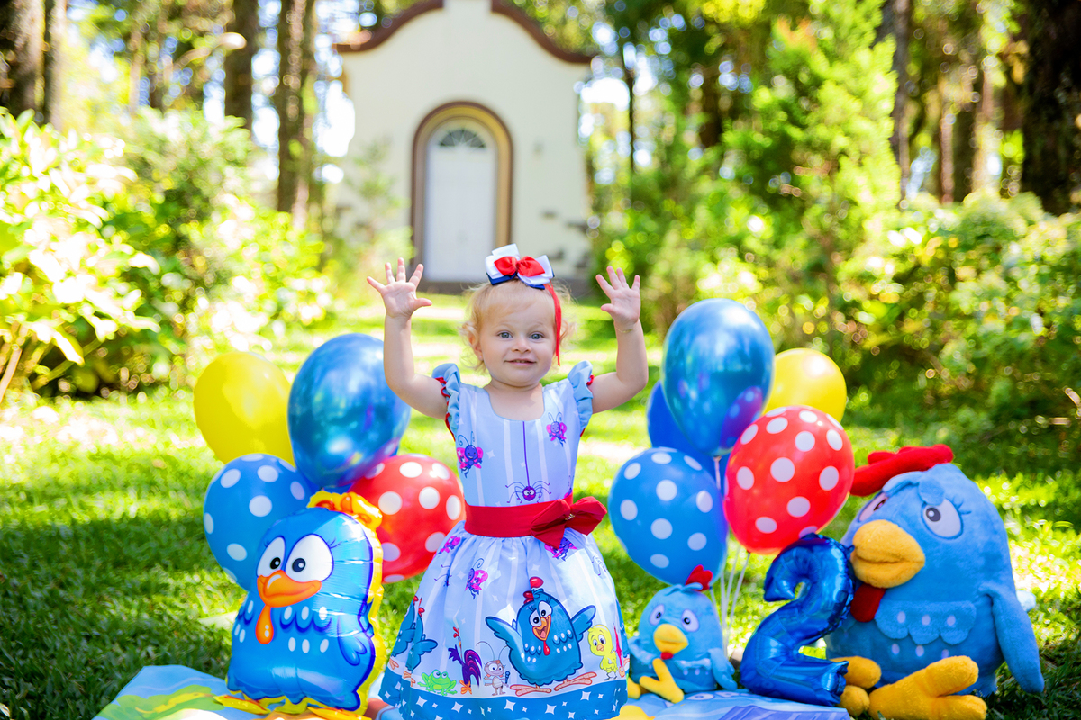 acompanhamento mensal de bebe caxias do sul figurino cenario tematico  personagem foto infantil serra gaucha fotografia familia mundo azul rosa ensaio fotografico crianca newborn baby menino menina smash the cake esmague o bolo banheira urso circo