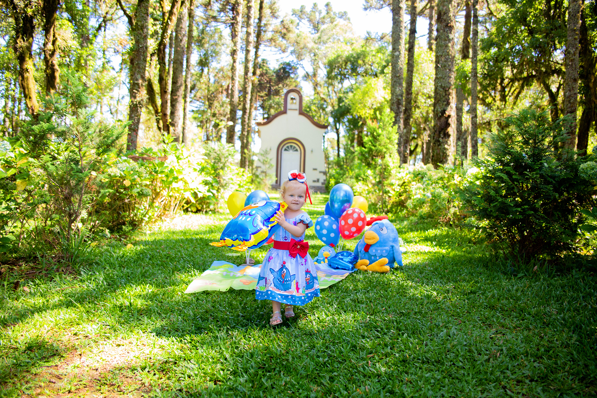 acompanhamento mensal de bebe caxias do sul figurino cenario tematico  personagem foto infantil serra gaucha fotografia familia mundo azul rosa ensaio fotografico crianca newborn baby menino menina smash the cake esmague o bolo banheira urso circo