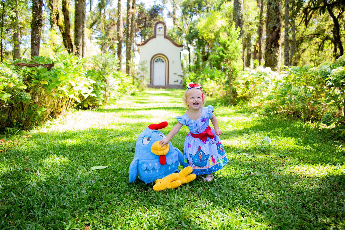 acompanhamento mensal de bebe caxias do sul figurino cenario tematico  personagem foto infantil serra gaucha fotografia familia mundo azul rosa ensaio fotografico crianca newborn baby menino menina smash the cake esmague o bolo banheira urso circo