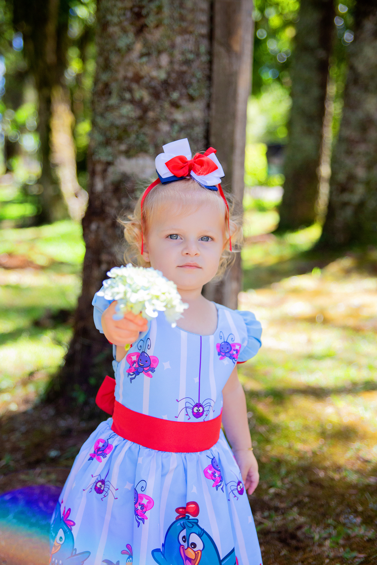 acompanhamento mensal de bebe caxias do sul figurino cenario tematico  personagem foto infantil serra gaucha fotografia familia mundo azul rosa ensaio fotografico crianca newborn baby menino menina smash the cake esmague o bolo banheira urso circo