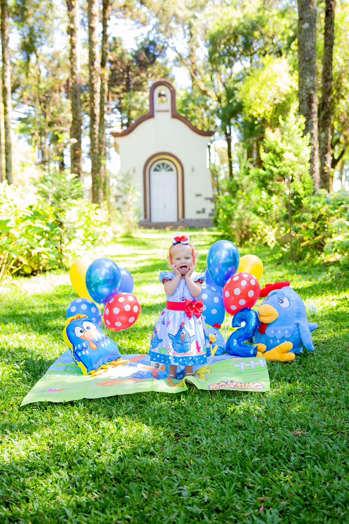 acompanhamento mensal de bebe caxias do sul figurino cenario tematico  personagem foto infantil serra gaucha fotografia familia mundo azul rosa ensaio fotografico crianca newborn baby menino menina smash the cake esmague o bolo banheira urso circo
