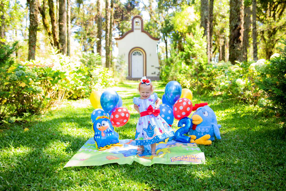 acompanhamento mensal de bebe caxias do sul figurino cenario tematico  personagem foto infantil serra gaucha fotografia familia mundo azul rosa ensaio fotografico crianca newborn baby menino menina smash the cake esmague o bolo banheira urso circo