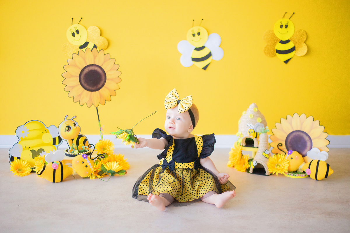 acompanhamento mensal de bebe caxias do sul figurino cenario tematico  personagem foto infantil serra gaucha fotografia familia mundo azul rosa ensaio fotografico crianca newborn baby menino menina smash the cake esmague o bolo banheira urso circo