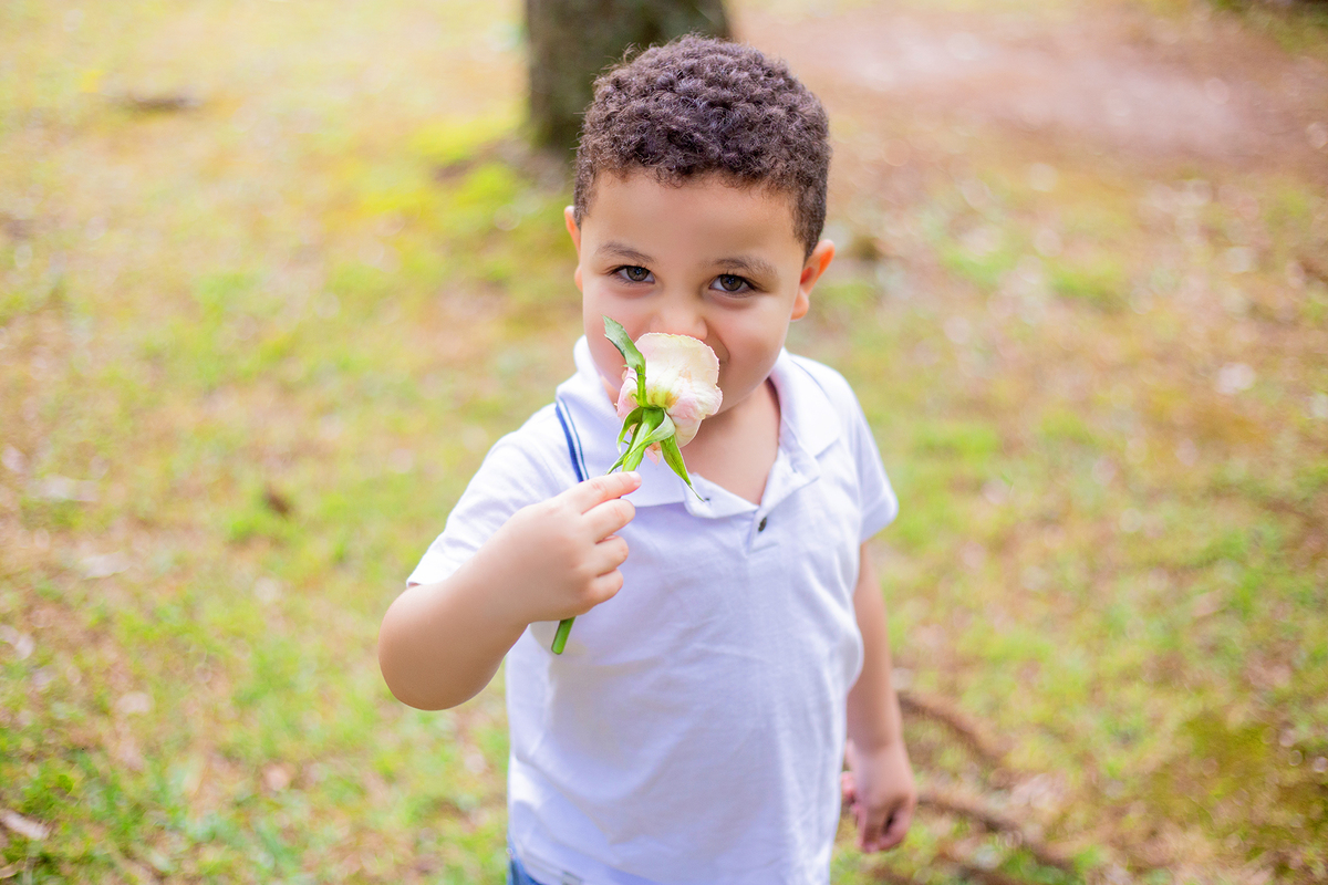acompanhamento mensal de bebe caxias do sul figurino cenario tematico  personagem foto infantil serra gaucha fotografia familia mundo azul rosa ensaio fotografico crianca newborn baby menino menina smash the cake esmague o bolo banheira urso circo