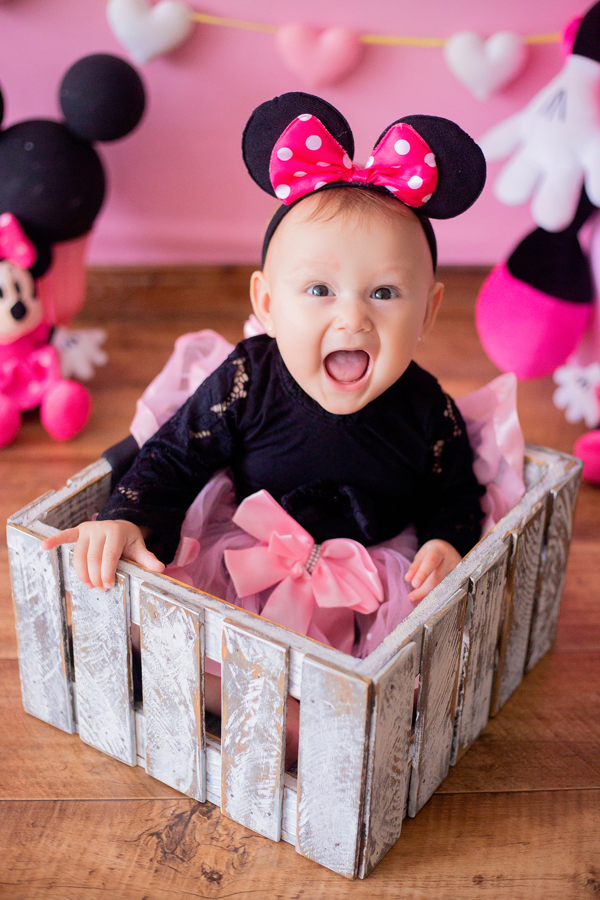 acompanhamento mensal de bebe caxias do sul figurino cenario tematico  personagem foto infantil serra gaucha fotografia familia mundo azul rosa ensaio fotografico crianca newborn baby menino menina smash the cake esmague o bolo banheira urso circo