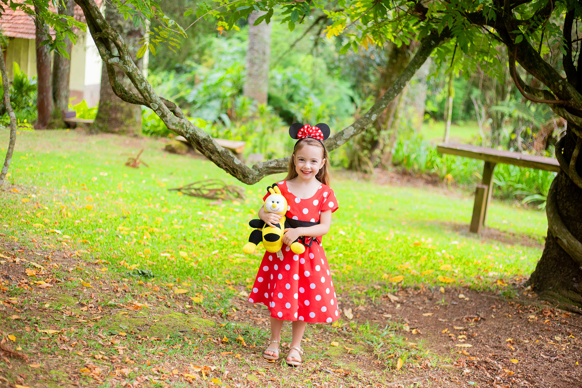 acompanhamento mensal de bebe caxias do sul figurino cenario tematico  personagem foto infantil serra gaucha fotografia familia mundo azul rosa ensaio fotografico crianca newborn baby menino menina smash the cake esmague o bolo banheira urso circo