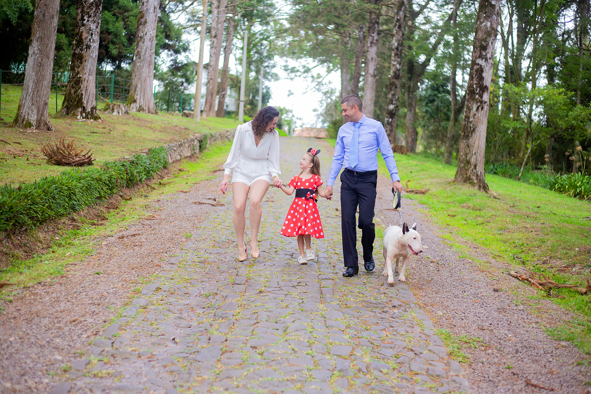 acompanhamento mensal de bebe caxias do sul figurino cenario tematico  personagem foto infantil serra gaucha fotografia familia mundo azul rosa ensaio fotografico crianca newborn baby menino menina smash the cake esmague o bolo banheira urso circo