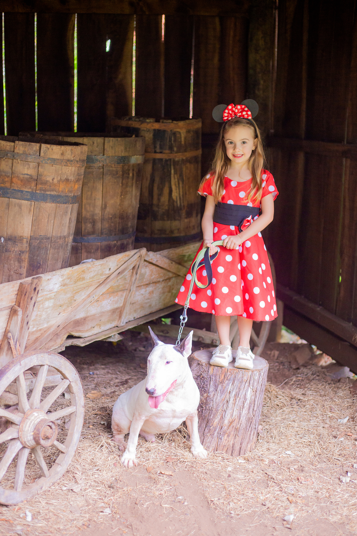 acompanhamento mensal de bebe caxias do sul figurino cenario tematico  personagem foto infantil serra gaucha fotografia familia mundo azul rosa ensaio fotografico crianca newborn baby menino menina smash the cake esmague o bolo banheira urso circo