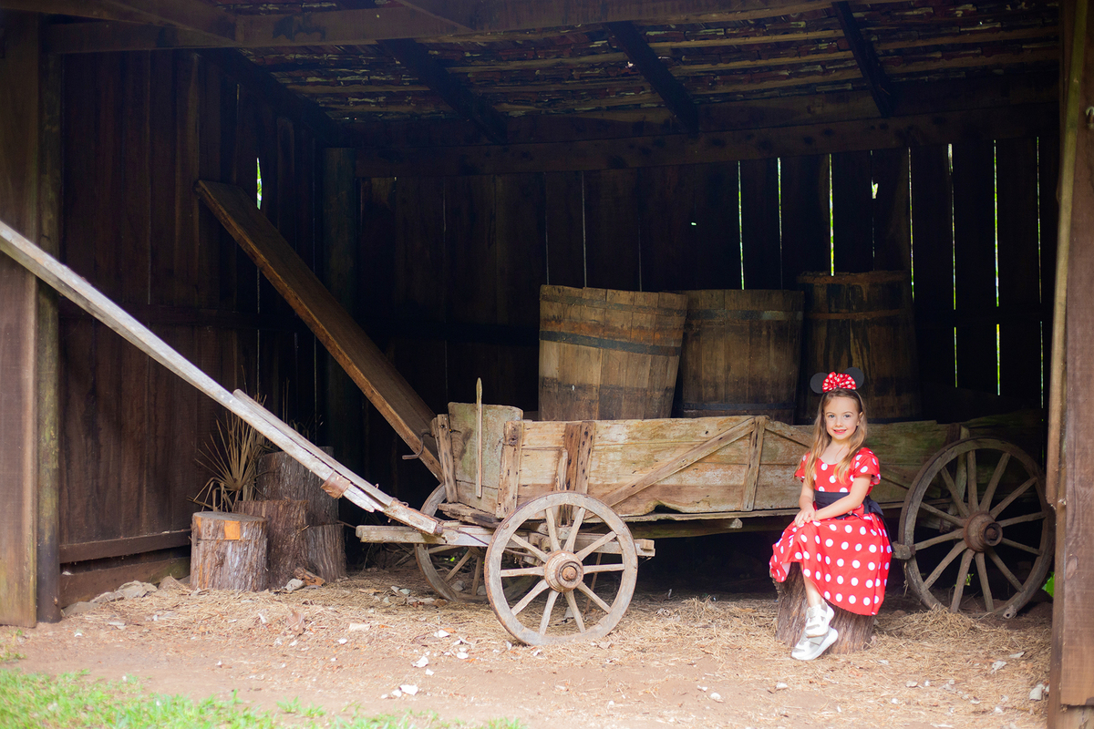 acompanhamento mensal de bebe caxias do sul figurino cenario tematico  personagem foto infantil serra gaucha fotografia familia mundo azul rosa ensaio fotografico crianca newborn baby menino menina smash the cake esmague o bolo banheira urso circo
