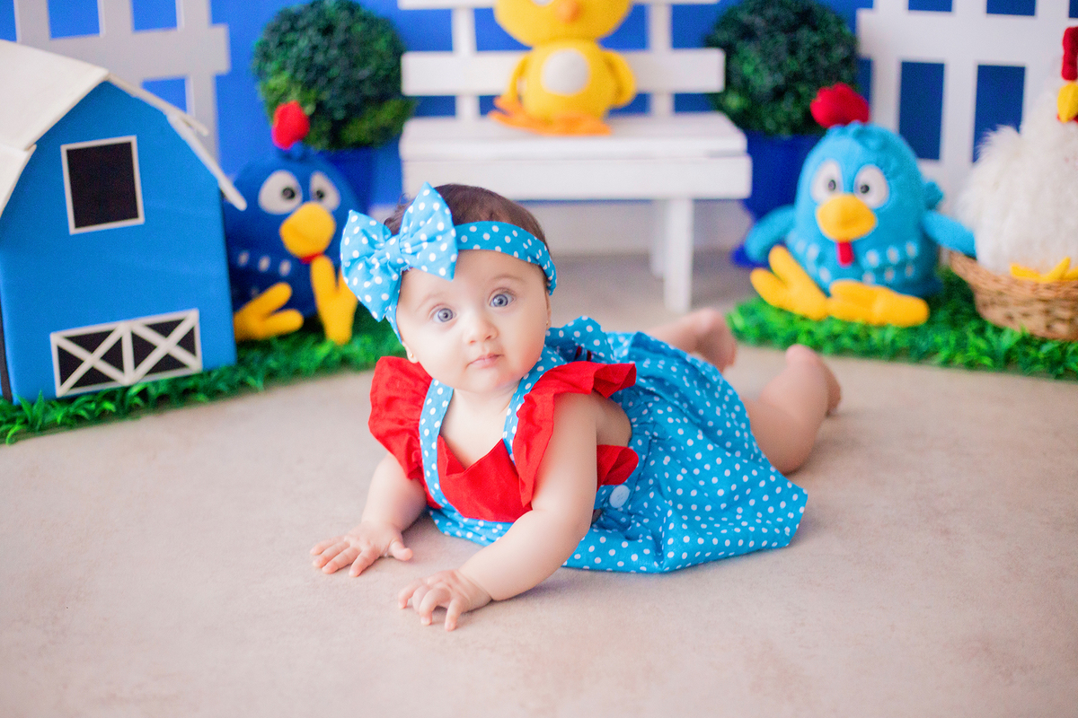 acompanhamento mensal de bebe caxias do sul figurino cenario tematico  personagem foto infantil serra gaucha fotografia familia mundo azul rosa ensaio fotografico crianca newborn baby menino menina smash the cake esmague o bolo banheira urso circo